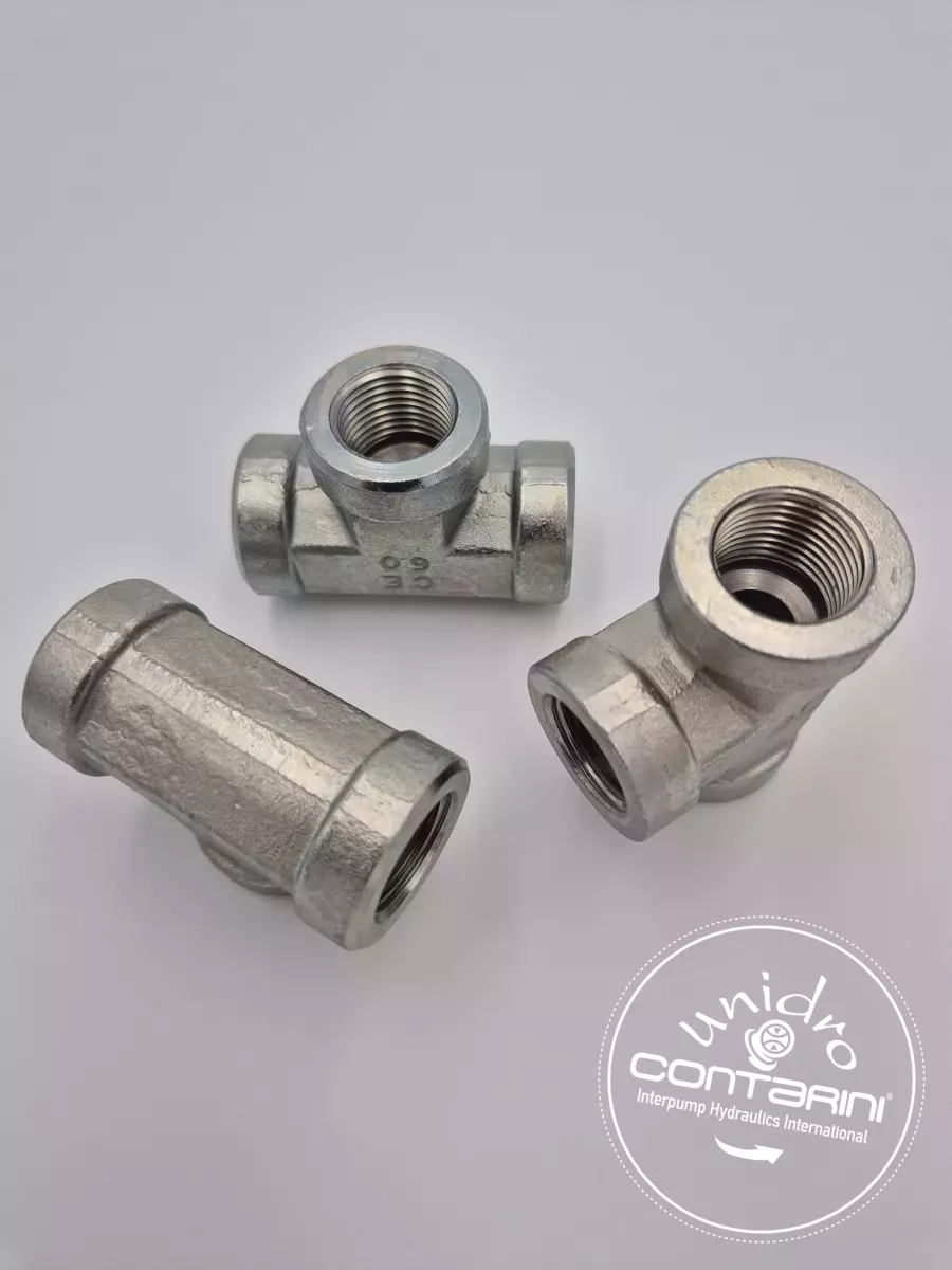 TE FEMELLE BSP FG FG FG 1/4