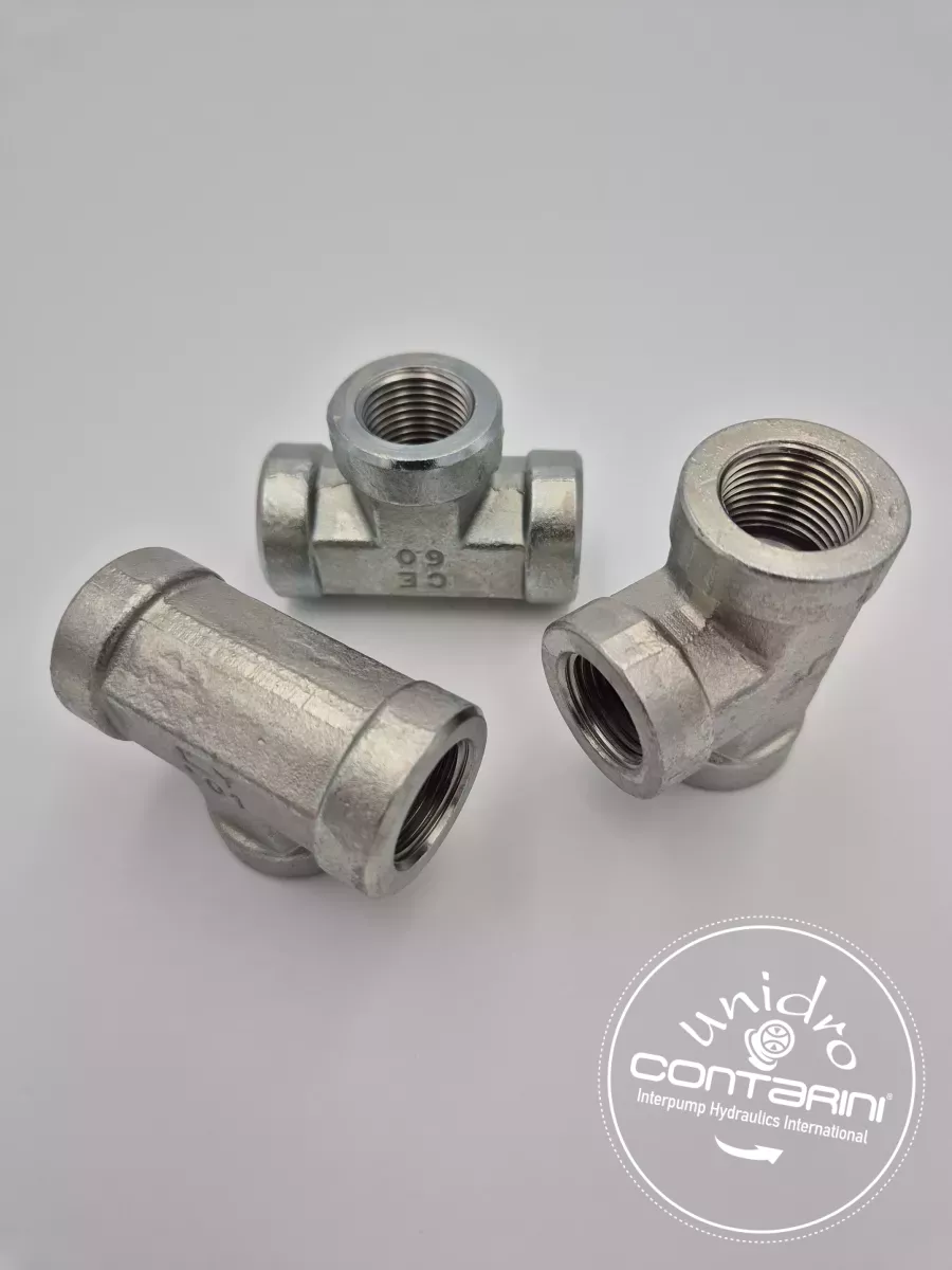 TE FEMELLE BSP FG FG FG 1/4