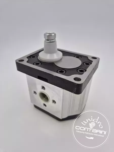 POMPE A ENGRENAGE OT 300 P 22 D/P 38 P3 - BASE: 50.8mm - C: 1/8"