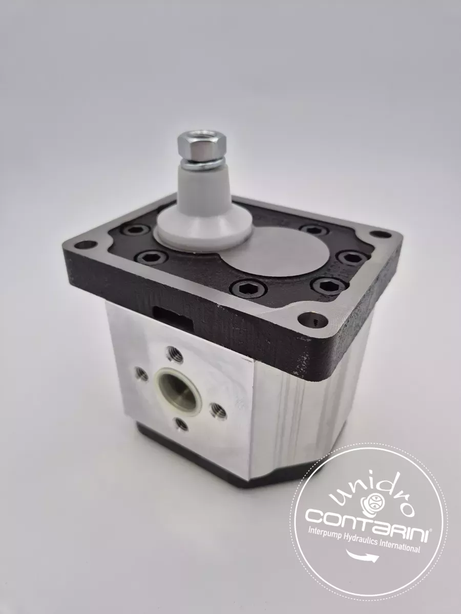 POMPE A ENGRENAGE OT 300 P 22 D/P 38 P3 - BASE: 50.8mm - C: 1/8"