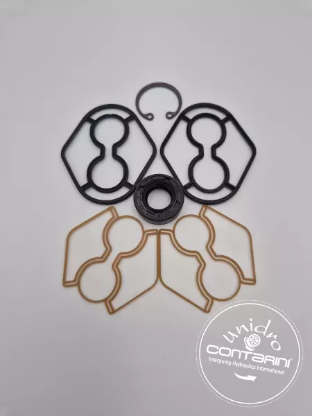 KIT DE JOINT POUR POMPE KV/1P "ANCIENNE GENERATION"