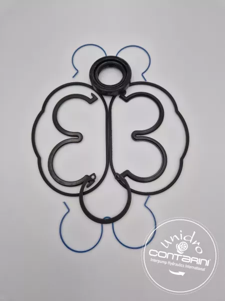 KIT DE JOINTS POUR POMPE OT 300 (NOUVELLE GENERATION)