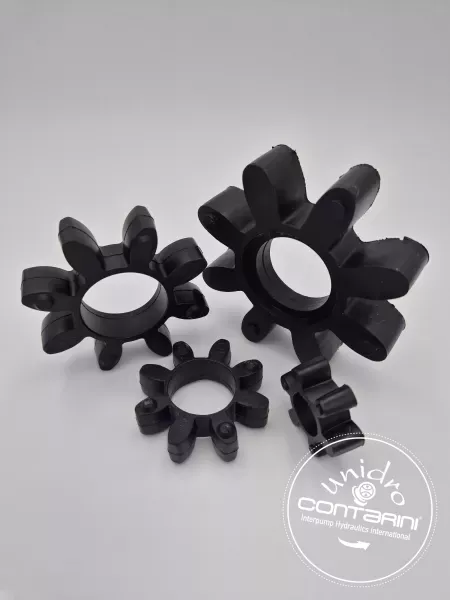 BT392 ELÉMENT ELASTIQUE D1 Ø063 MOTEUR 0.55 À 4 KW