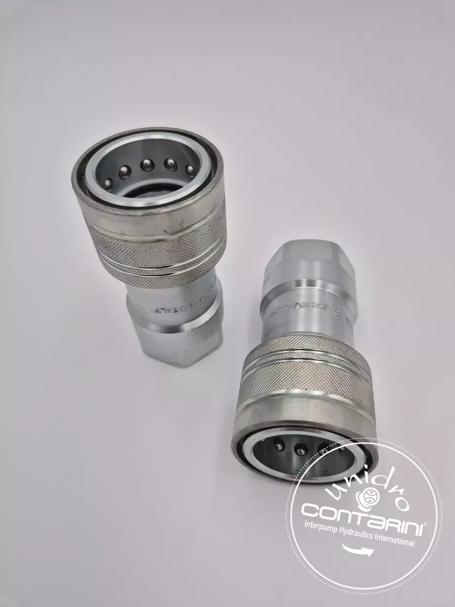 PGR1 FEMELLE H5000/GROMELLE