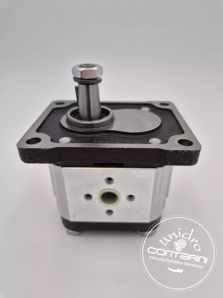 POMPE A ENGRENAGE - B: 36.5 - C. 1:8 - OT200 P 04 D/P 28 P2