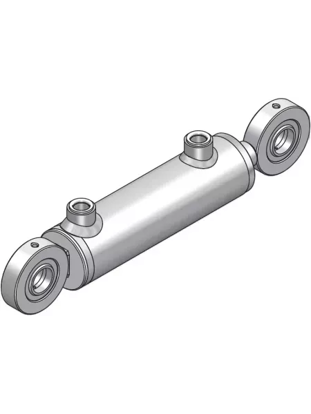 VERIN D.E. 70/60 x 35 - C: 100 mm. + CAGES  ROTULEES Ø: 25 mm.