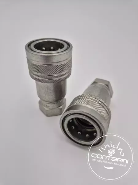 PDS1 FEMELLE ISO A - À BILLE