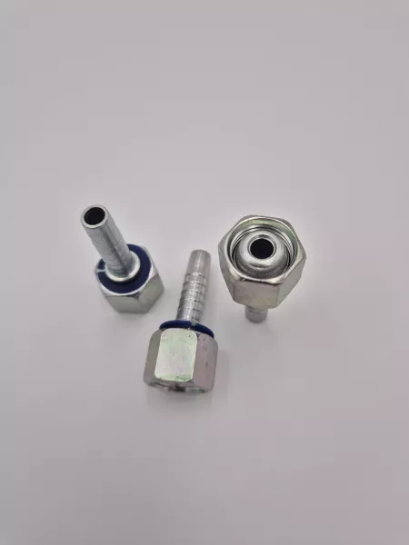 R0035-Femelle Drt Metr. 24° (TU)