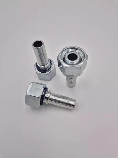 R0058-Femelle Drt BSP 60°