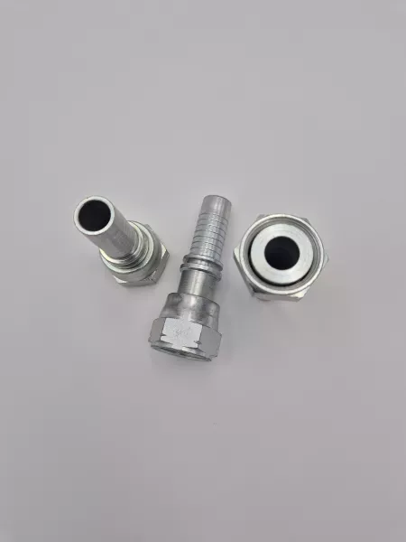 RS050-Femelle Drt ORFS écr.r