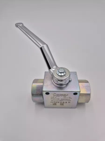 RS2 - Racc. Femelle BSP